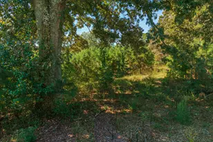 0 Wallace Tatum Rd, Cumming, GA 30028 - Photo 23