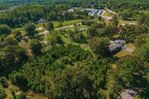 0 Wallace Tatum Rd, Cumming, GA 30028 - Photo 19
