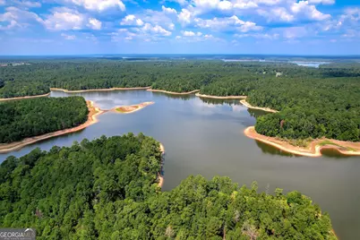 2207 McCormick Highway, Lincolnton, GA 30817 - Photo 3