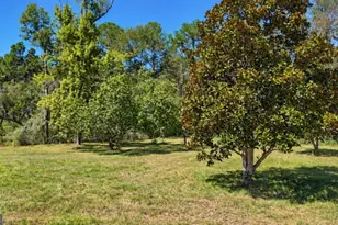 0 Hwy 280, Reidsville, GA 30453 - Photo 1