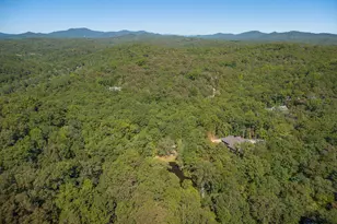 427 Cross Creek Rd, Mineral Bluff, GA 30559 - Photo 27