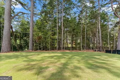 519 Creek Road, Cornelia, GA 30531 - Photo 43
