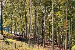 Lot 171 Snug Harbor Pl, Newnan, GA 30263 - Photo 5
