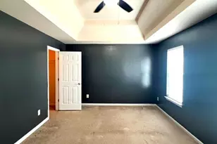 11050 Shadow Creek Terrace, Hampton, GA 30228 - Photo 17