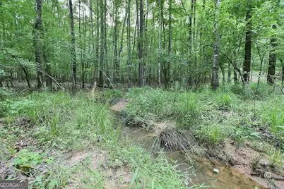 21921 Highway 0315, Waverly Hall, GA 31831 - Photo 97