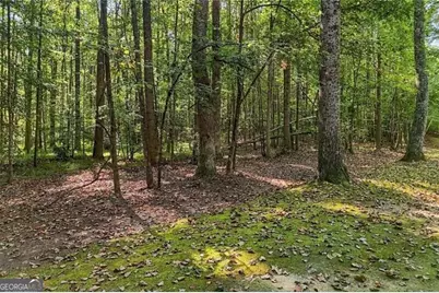 0 Cumming Highway, Canton, GA 30115 - Photo 5