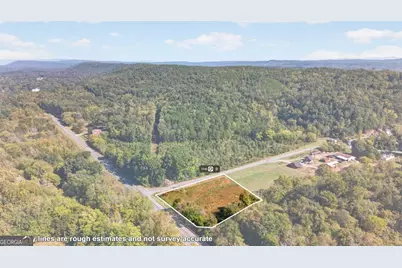 0 Hwy 411 #2.0AC, Fairmount, GA 30139 - Photo 7