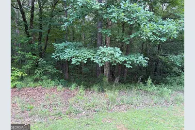 000 Serenity, Cataula, GA 31808 - Photo 23