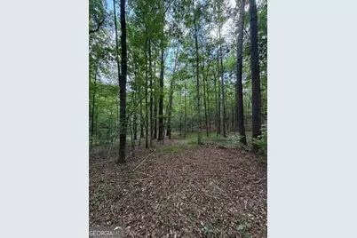 000 Serenity, Cataula, GA 31808 - Photo 17