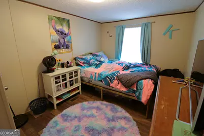 231 Canady Bridge Road, Twin City, GA 30471 - Photo 9