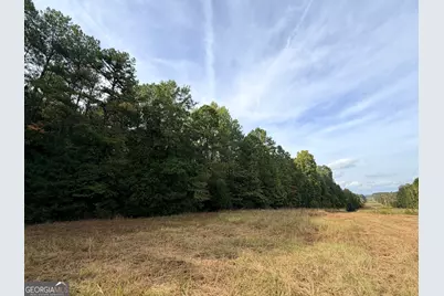 4043 Silas Mercer Lane, Crawfordville, GA 30631 - Photo 9