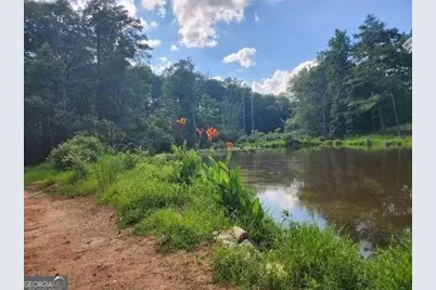 120 Bridgemill Drive, Hampton, GA 30228 - Photo 5