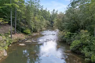 505 River Ridge Rd, Clarkesville, GA 30523 - Photo 57