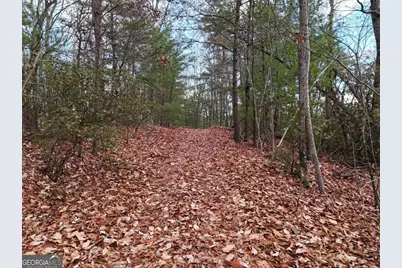 4.01 Acres Park Hill Avenue, Blairsville, GA 30512 - Photo 11