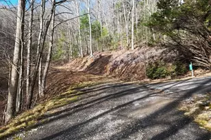 4 01 Acres Park Hill Ave, Blairsville, GA 30512 - Photo 1