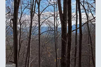 4.01 Acres Park Hill Avenue, Blairsville, GA 30512 - Photo 5