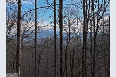 4.01 Acres Park Hill Avenue, Blairsville, GA 30512 - Photo 7