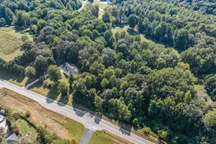 296 Hwy 115, Demorest, GA 30535 - Photo 59