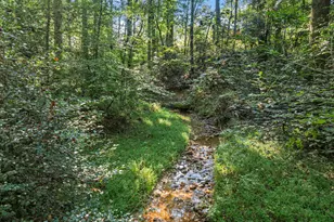 296 Hwy 115, Demorest, GA 30535 - Photo 9