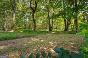 2220 Bethesda Church Rd, Carrollton, GA 30117 - Photo 91