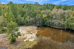 2700 Bear Creek Rd, Tarrytown, GA 30470 - Photo 85