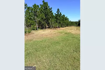 0 Altamaha Rd, Hazlehurst, GA 31539 - Photo 3