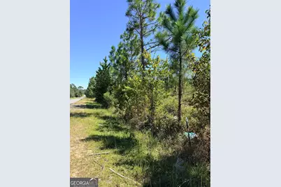 0 Altamaha Rd, Hazlehurst, GA 31539 - Photo 9