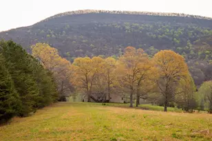 8040 Hog Jowl Rd, Chickamauga, GA 30707 - Photo 27
