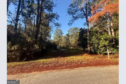 201 Waters Grove Road, Sylvania, GA 30467 - Photo 5