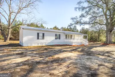 1169 Chester Alamo Road, Chester, GA 31012 - Photo 5