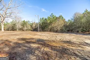 1169 Chester Alamo Rd, Chester, GA 31012 - Photo 15