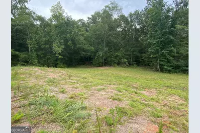 126 Potts Pond Road, Barnesville, GA 30204 - Photo 5