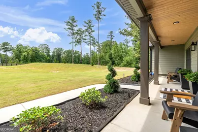 392 Georgian Pines Drive, Senoia, GA 30276 - Photo 7