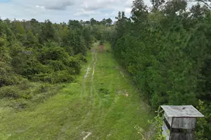 28262 Canoochee Rd, Metter, GA 30439 - Photo 19