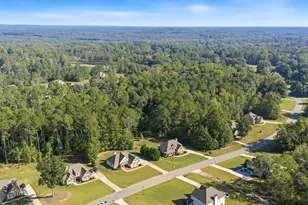 141 Austin Storey Cir, Newnan, GA 30263 - Photo 41