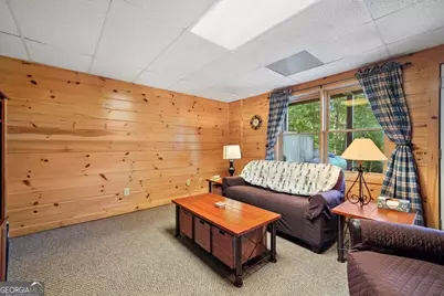 64 Grice Woods Road, Blue Ridge, GA 30513 - Photo 35