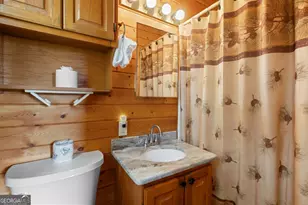 517 Ridge Rd, Blue Ridge, GA 30513 - Photo 27