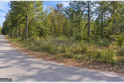 0 Island Creek Road, Sparta, GA 31087 - Photo 5