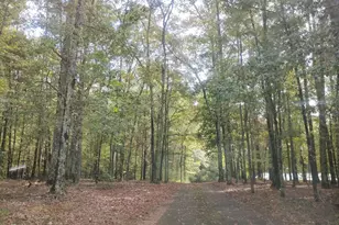 3000 White Pine Ln, Mansfield, GA 30055 - Photo 27