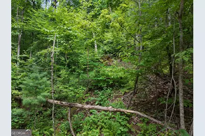 Lot 31 Highland Forge Lane, Blairsville, GA 30512 - Photo 7