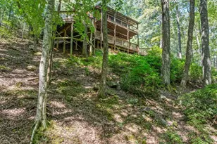 166 Walnut Mountain Ct, Ellijay, GA 30536 - Photo 41