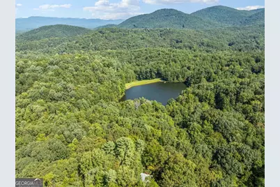 166 Walnut Mountain Court, Ellijay, GA 30536 - Photo 47