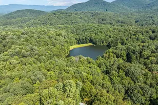 166 Walnut Mountain Ct, Ellijay, GA 30536 - Photo 47