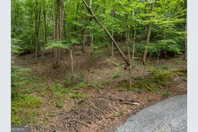 0 Paradise Lane, Blue Ridge, GA 30513 - Photo 13