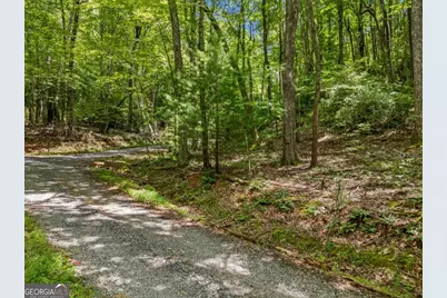 0 Paradise Lane, Blue Ridge, GA 30513 - Photo 7