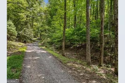 0 Paradise Lane, Blue Ridge, GA 30513 - Photo 11