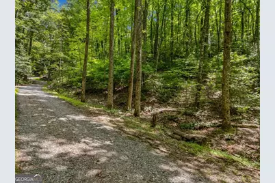 0 Paradise Lane, Blue Ridge, GA 30513 - Photo 3