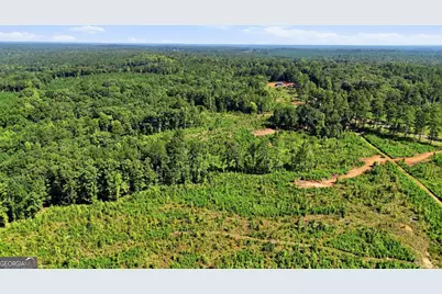 150+/- Acres Giles Road, Forsyth, GA 31029 - Photo 7