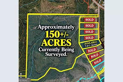 150+/- Acres Giles Road, Forsyth, GA 31029 - Photo 1