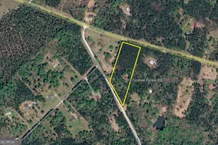 213 Oconee Forest Rd, Monticello, GA 31064 - Photo 15